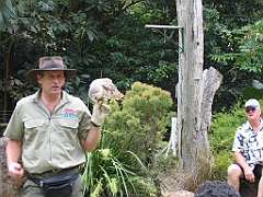 CairnsTC185 Cairns Tropical Zoo